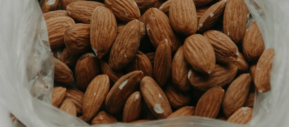 Almendras en cáscara recién cosechadas