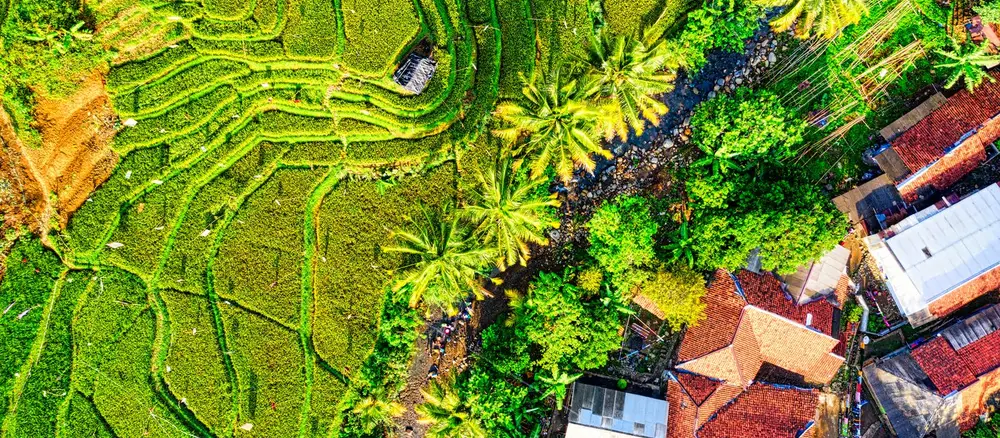 Vista aérea de campo de cultivo verde — rotación de cultivos ECO 4