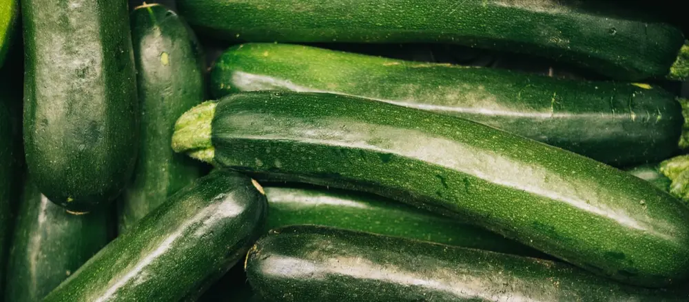 Verduras ecológicas frescas — agricultura sin productos de síntesis