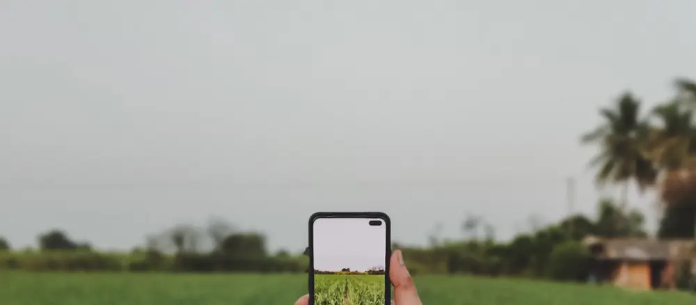 Persona con móvil tomando datos en campo agrícola