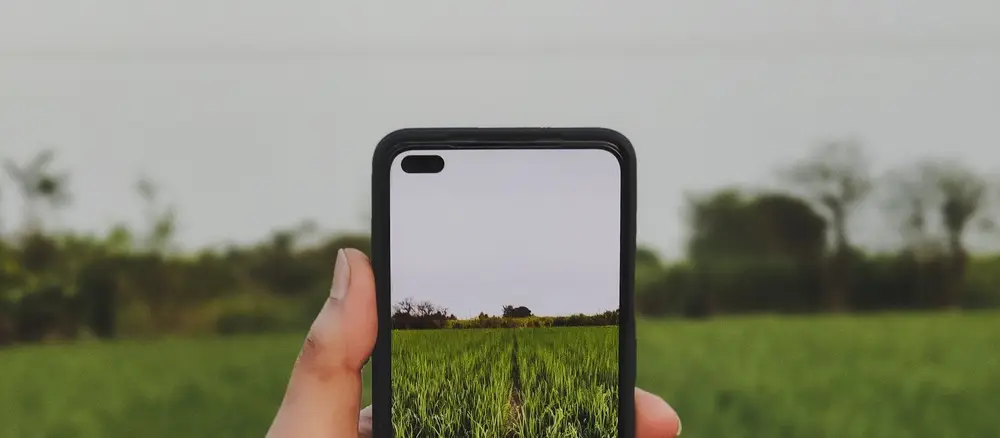Agricultor usando smartphone para registrar datos en la parcela
